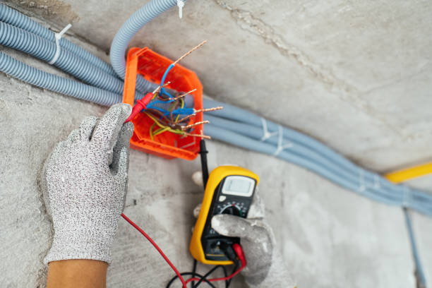 Best Electric Panel Repair  in Lake Shore, MD